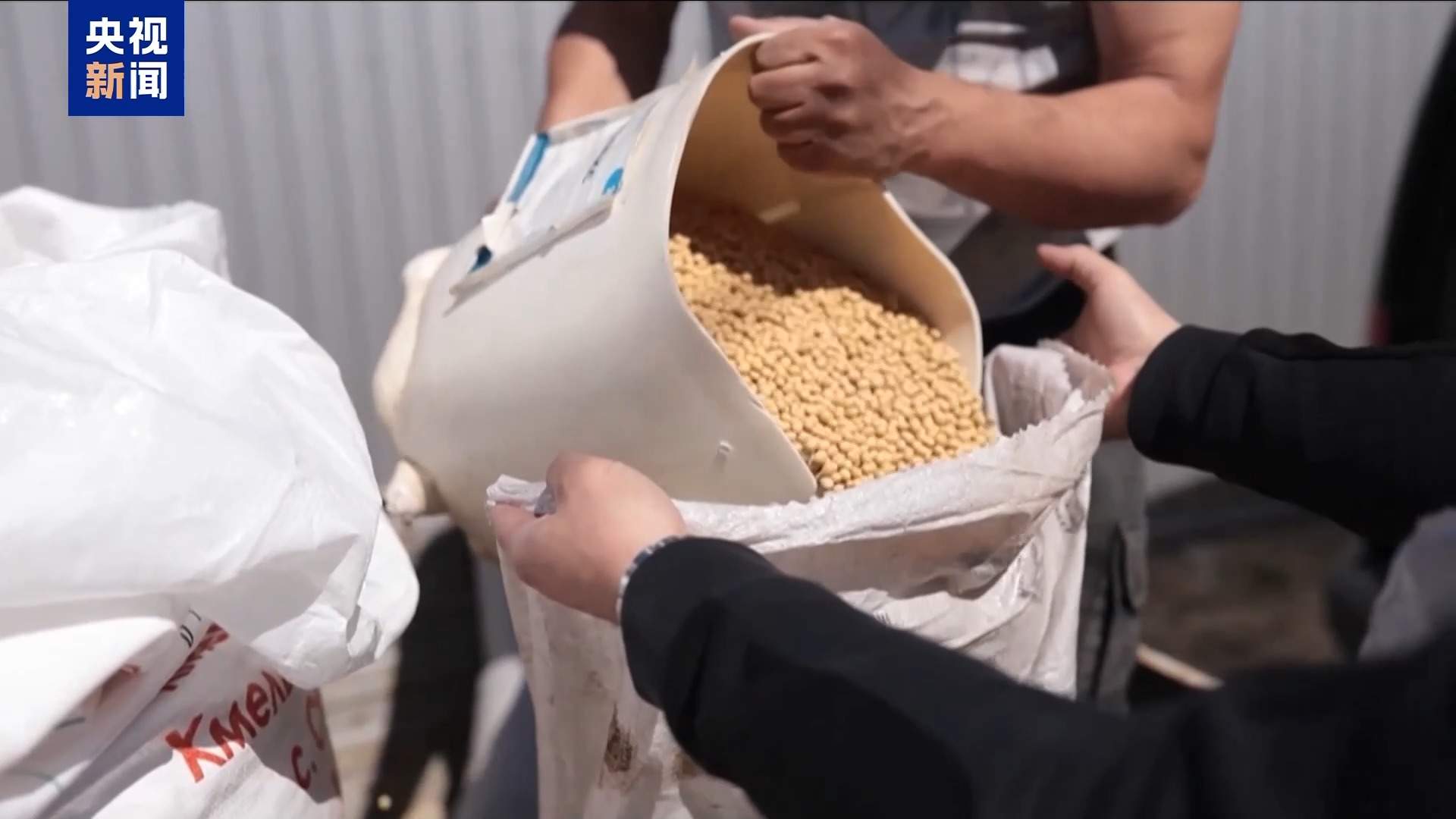 连续6年增长 全球近3亿人面临严重粮食不安全问题