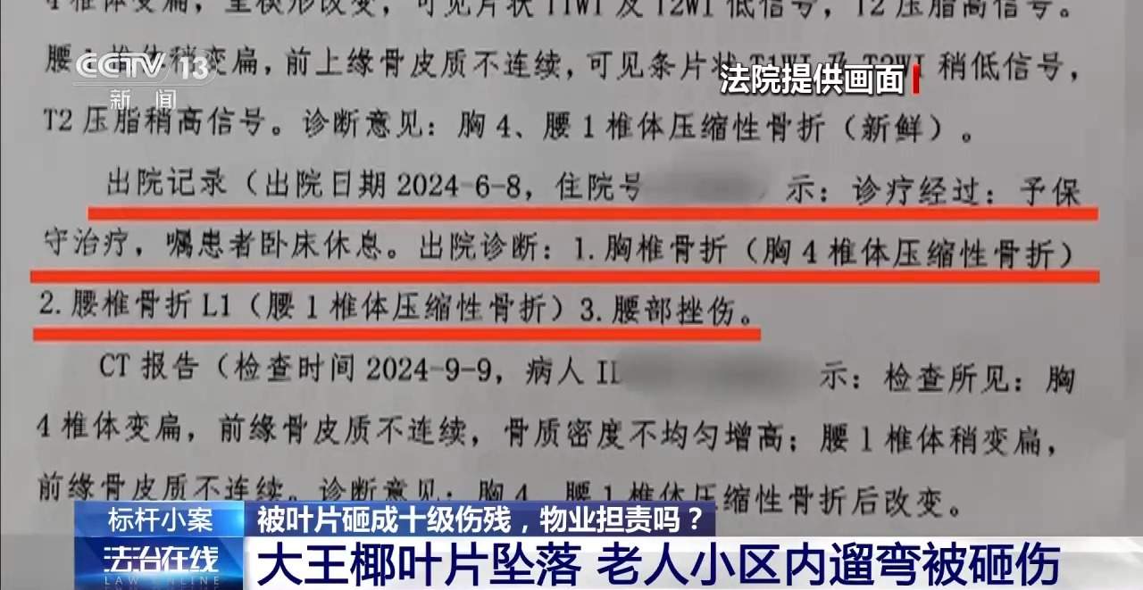老人小区内遛弯被大王椰叶片砸成十级伤残 物业要担责吗？