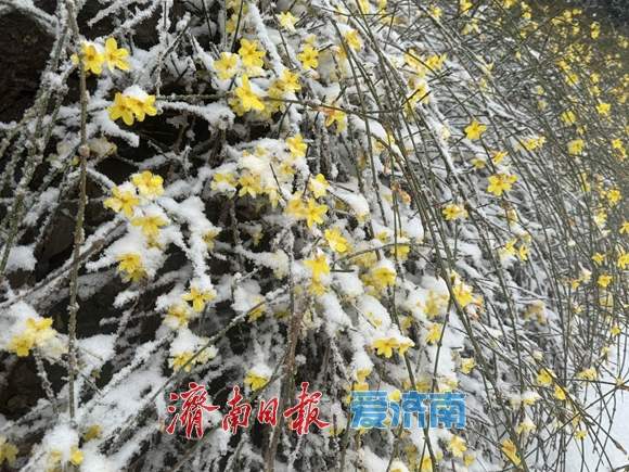 暴雪橙警+道路结冰红预警！济南降雪将于21时前后结束，降雪量10～20毫米