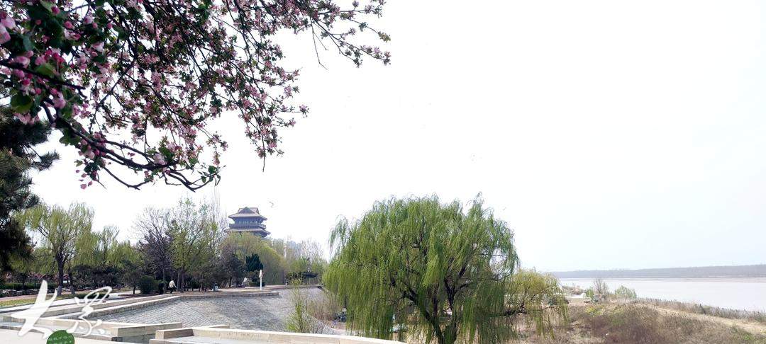 黄河沿岸点绿成金，山东勾勒高质量发展新底色