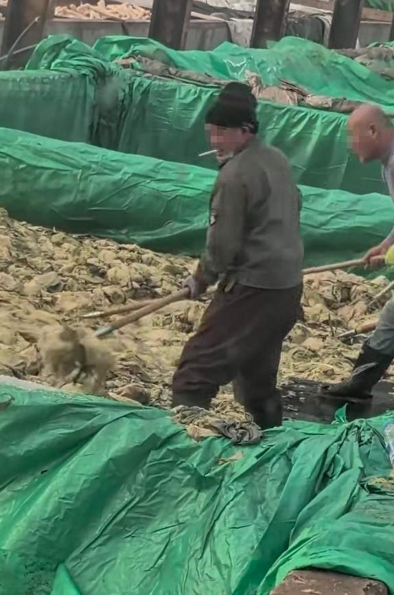 “男子在酸菜池中抽烟并吐痰”,官方通报