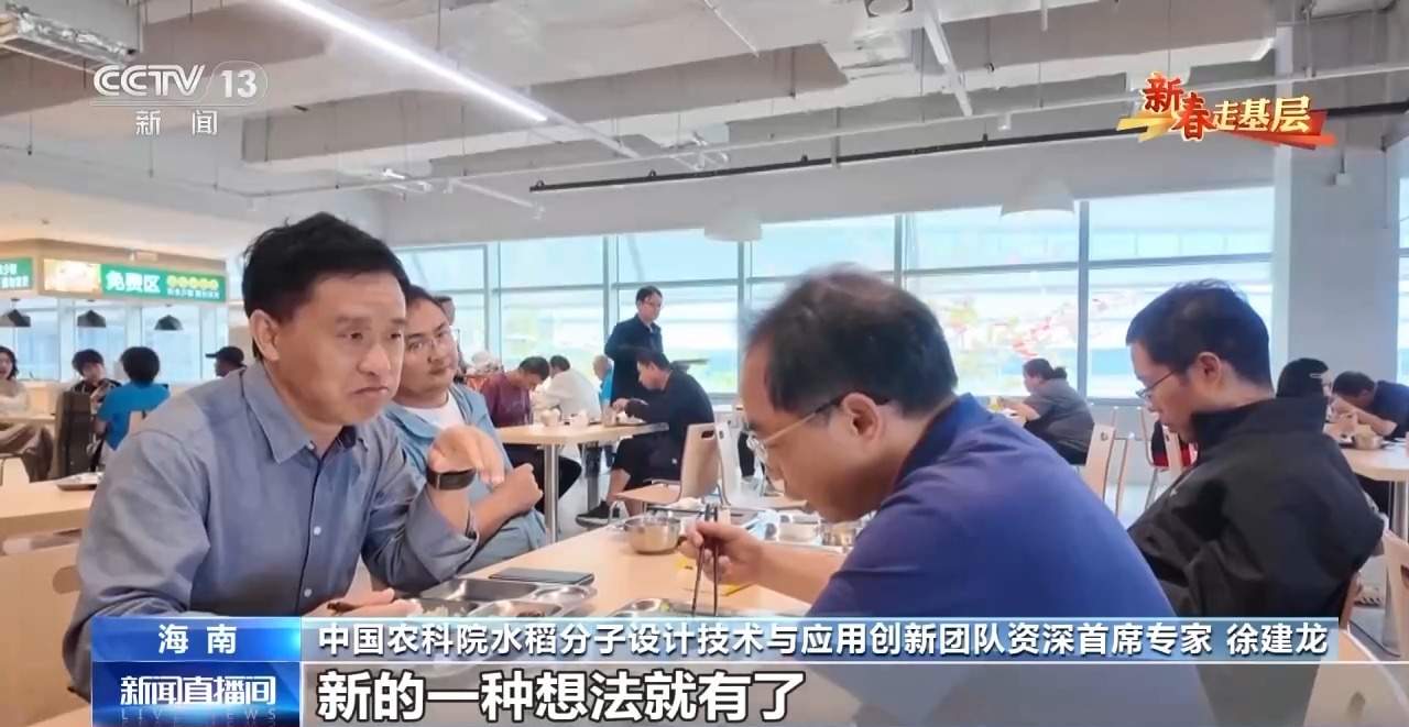 新春走基层丨水稻育种遇上AI 老专家与工程师联手“抢花期”