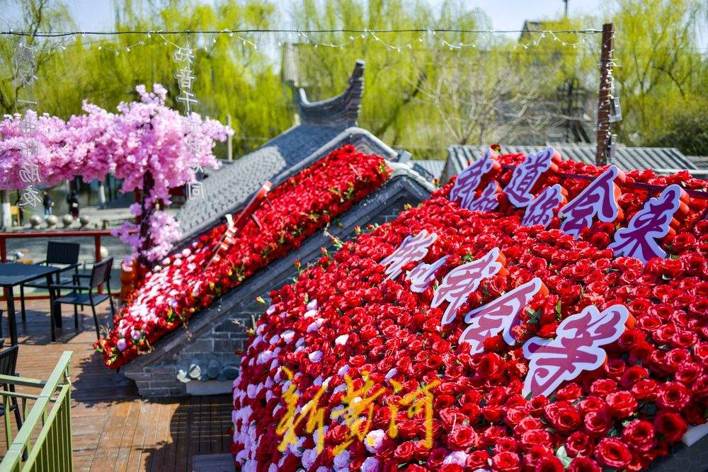 泉水人家打造空中赏景花园，解锁老城打卡新玩法