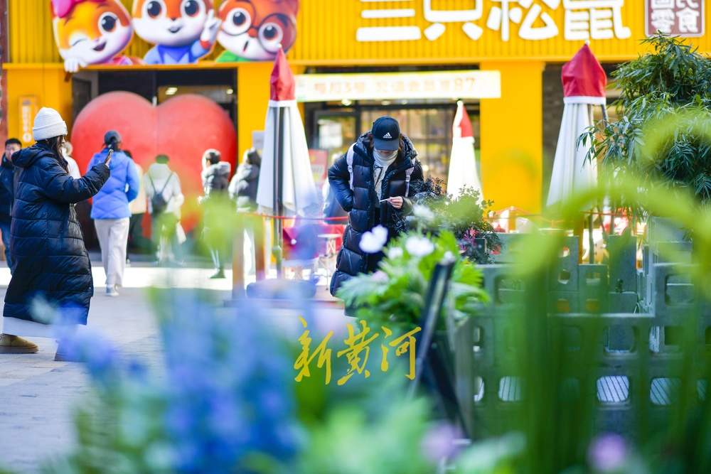 老商埠穿花衣 增添绿意迎春来