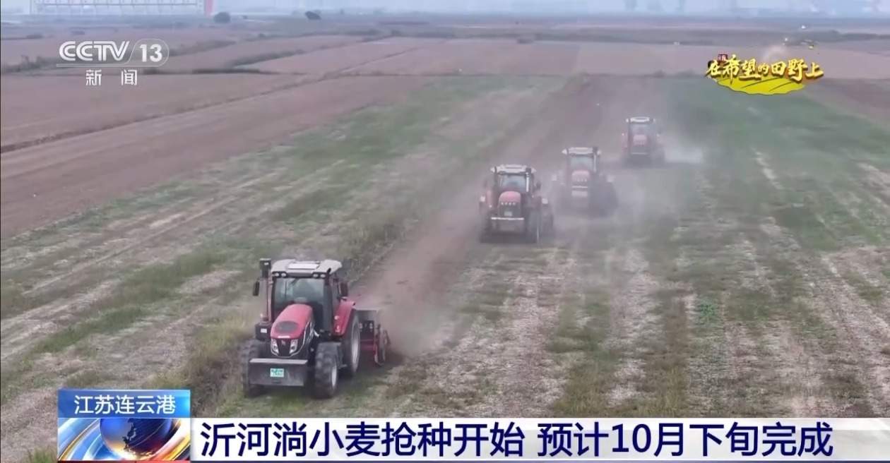 秋粮丰收在望 10月的神州大地是金色的