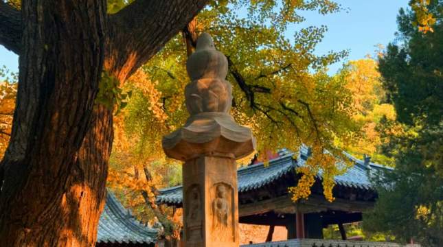 影视剧里的济南