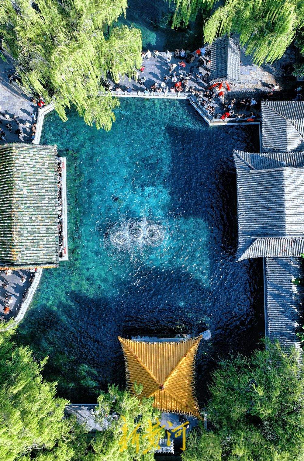 济南趵突泉水位半个月涨幅超一米 游客争睹胜景