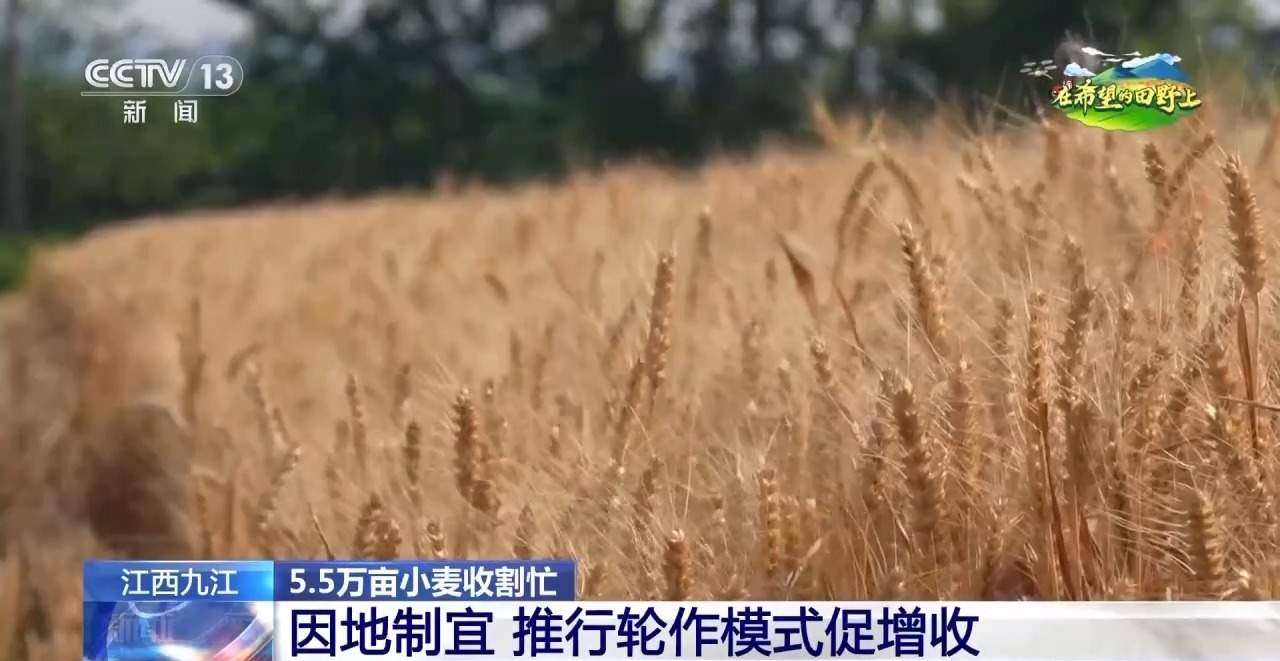 收割机装上摄像头、无人插秧机“上岗”……各地尽显科技范儿