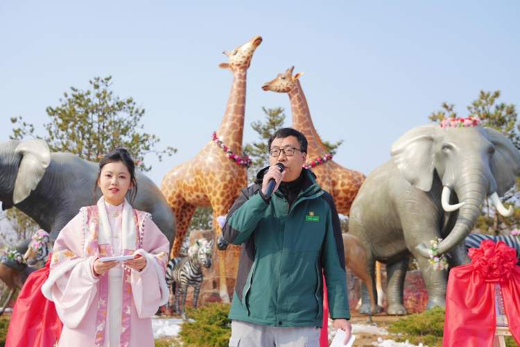 喜讯！济南野生动物世界网红孟加拉虎三胞胎有名字啦！