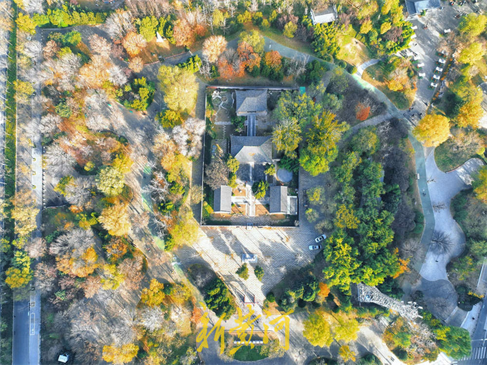 济南兴福寺公园呈现多彩冬景，绚烂如画