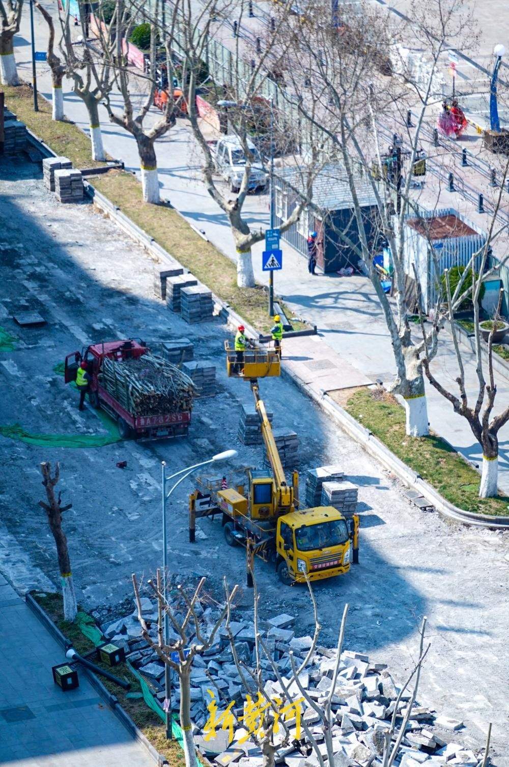 济南泉城路这段石板路拆除换新，道路两侧法桐树同步修剪