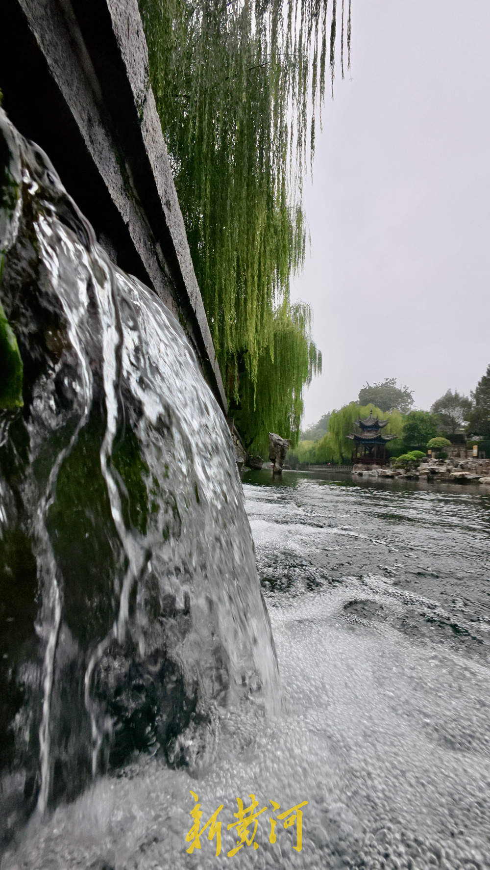地下水位连涨，泉水漫出泉洞 ，现黑虎泉版“清泉石上流”