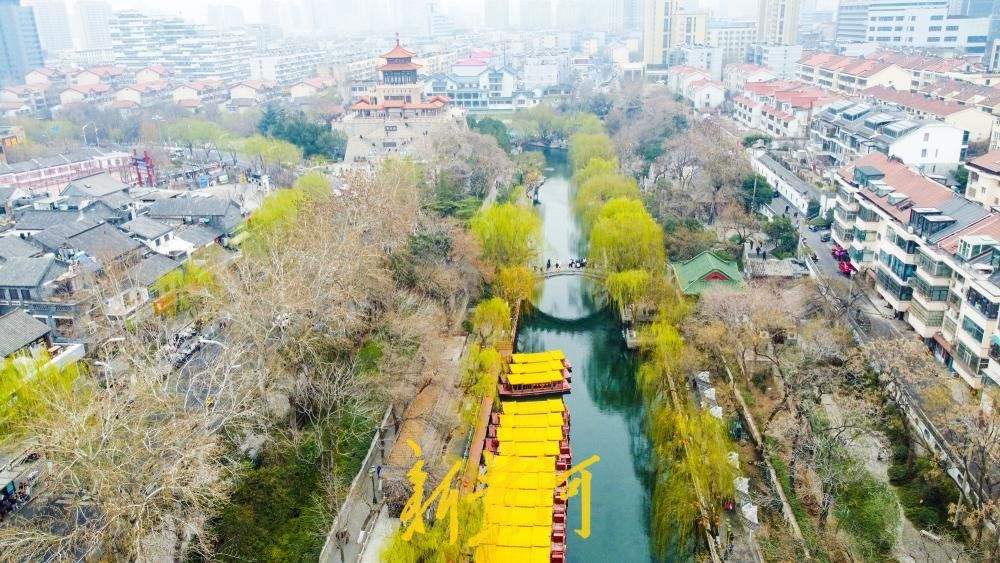 黑虎泉畔柳色新，济南护城河初现春日画卷