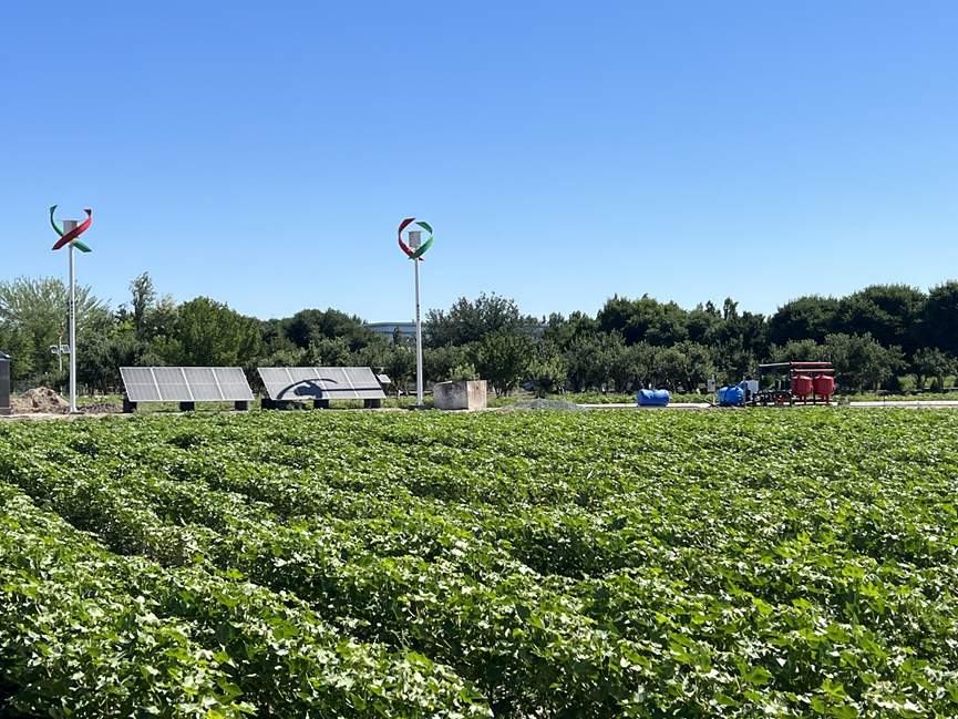 为“中亚之泪”带来绿色希望——中国科学家助力破解咸海生态危机