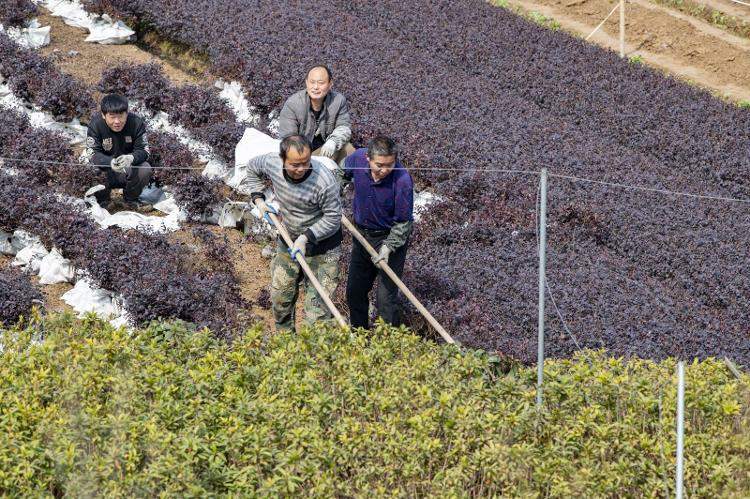 “坏回暖来了”上热搜，此次回暖是否异常？对生产生活有何影响？
