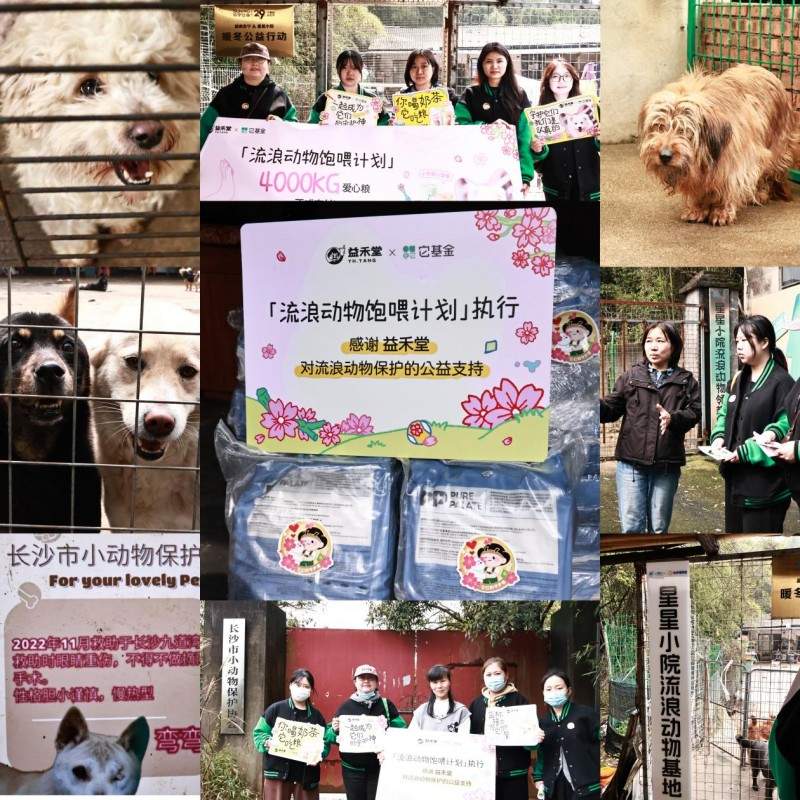 流浪动物救助的“毛细血管”：益禾堂五城六站公益行动纪实