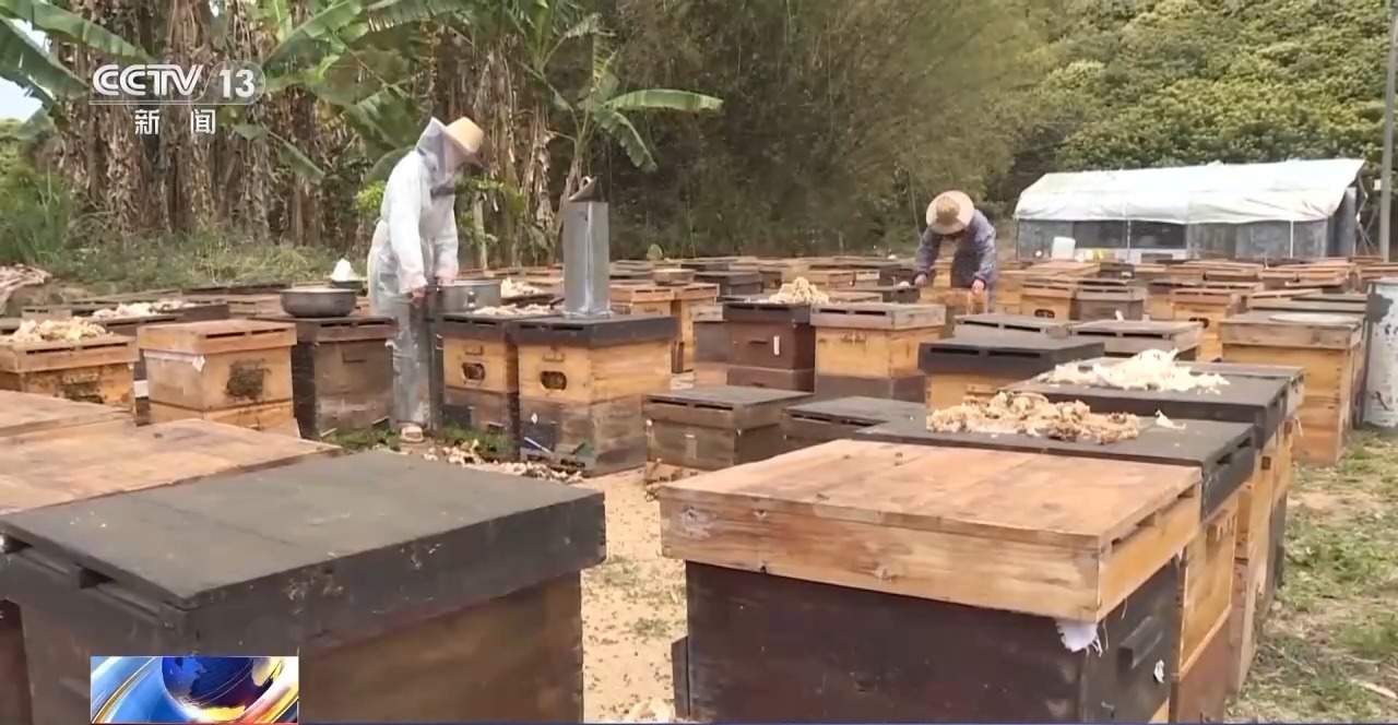 田间海上春耕忙 智能设备描绘出一幅幅“数字春耕图”