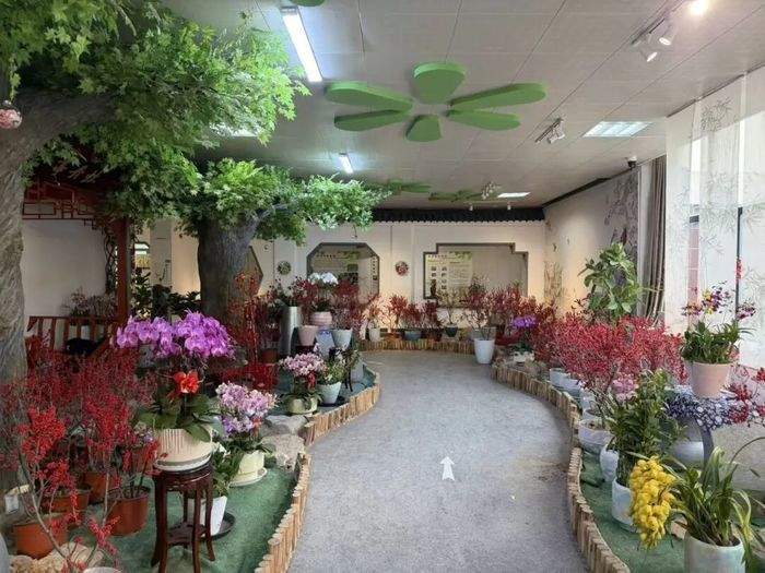 国兰珍品荟萃，2026泉城新春兰韵艺术展暨年宵花消费季拉开帷幕