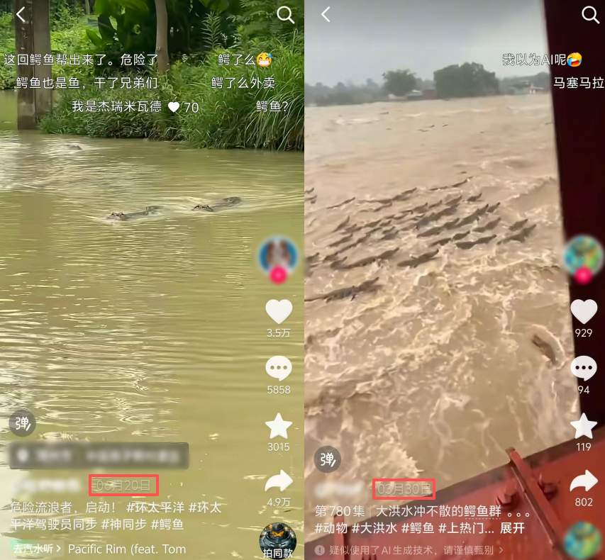 广西辟谣：网传“广西洪涝有鳄鱼逃出”系旧闻嫁接