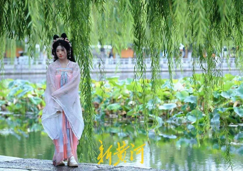 泉城秋凉气温骤降，明府城寻泉热度不减