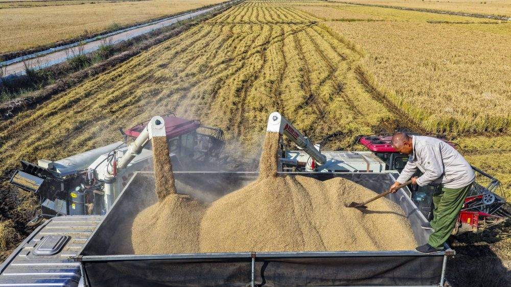 从10月数据看中国经济增长点