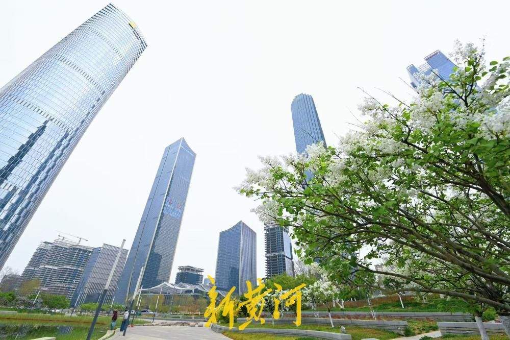 济南CBD“五指山”下丁香花绽放 与城市超高层建筑交相辉映