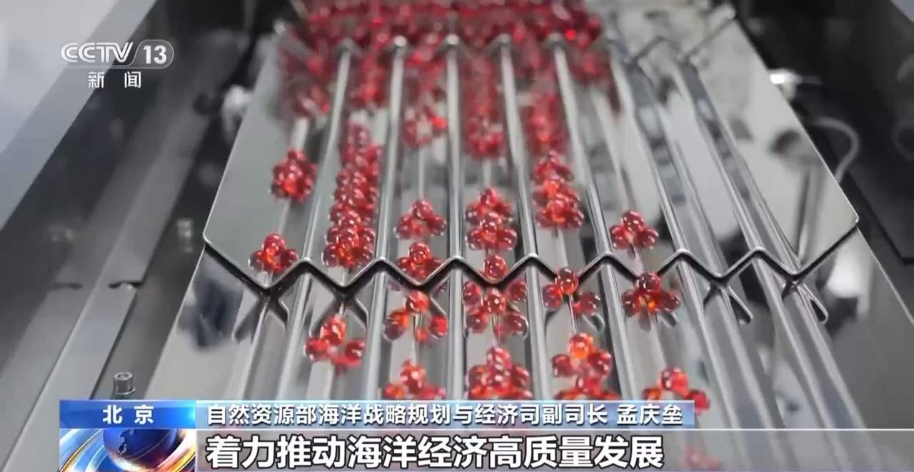 总量再上新台阶 2025年我国海洋生产总值超11万亿元