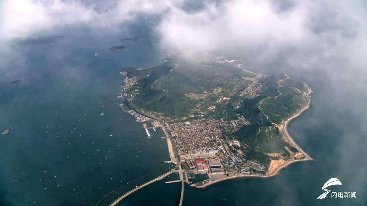 美丽中国行｜大江大海“新”邻居：从“旅居客”到“常住民” 7只斑海豹在长岛“落户”啦