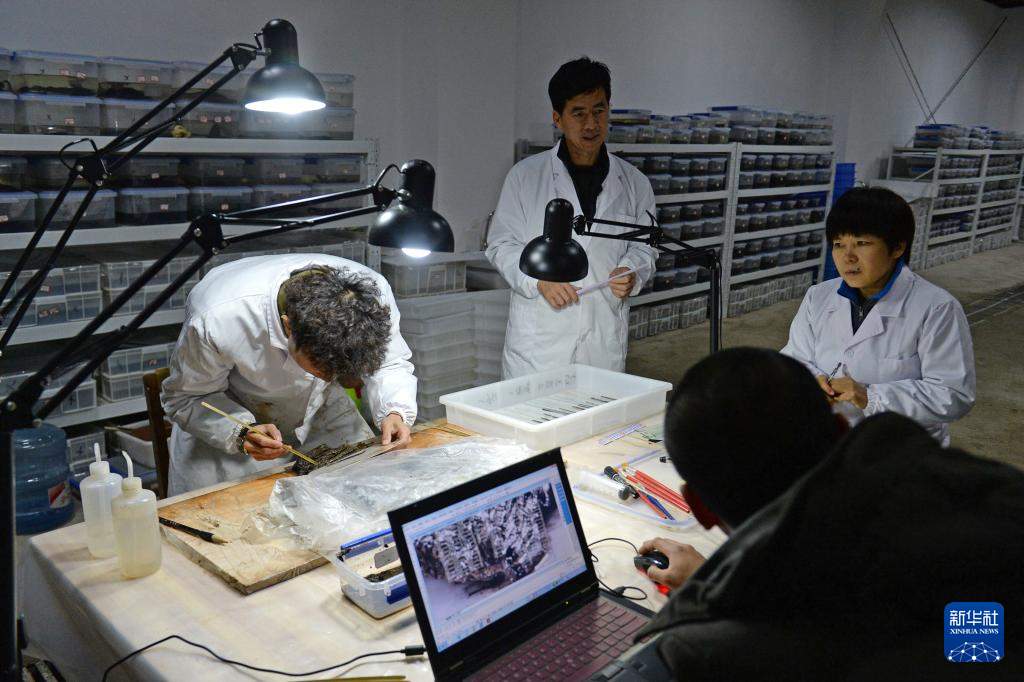 失传1800余年 齐《论语·智道》简首次对外展出