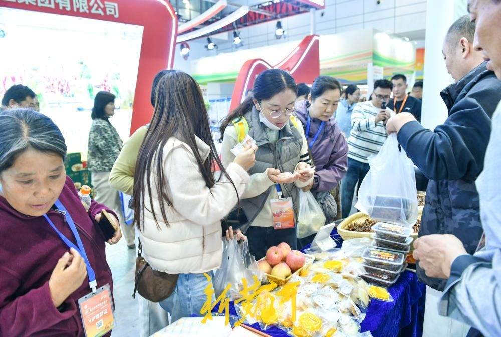 第41届山东畜牧业博览会启幕，600余家企业齐聚泉城