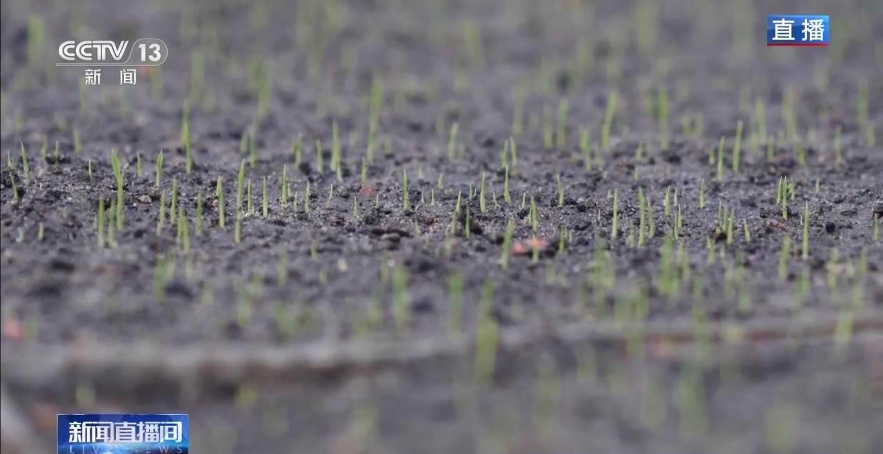 田间海上春耕忙 智能设备描绘出一幅幅“数字春耕图”