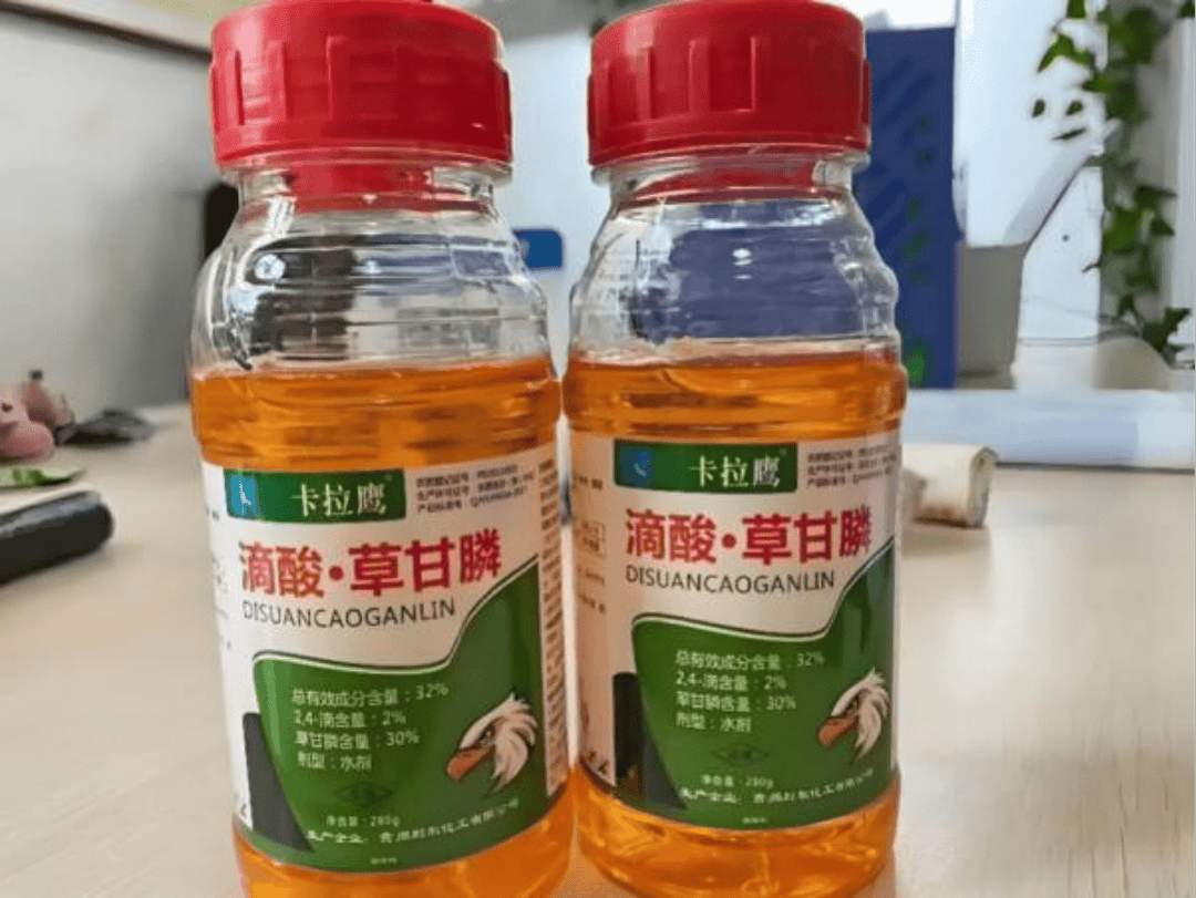 成都汇阳投资关于草甘膦价格持续上行，全球供需紧平衡高景气延续