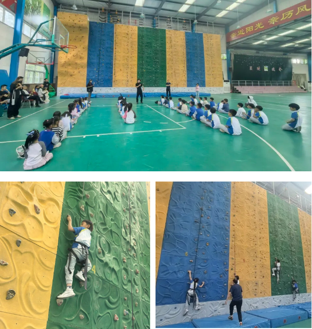 探秘山楂树下的生态课堂 —— 育秀中学小学部2024级6班班本课程(实践篇)