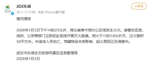 武汉东湖通报:起火原因正在调查,未造成人员伤亡,馆藏物品未受影响