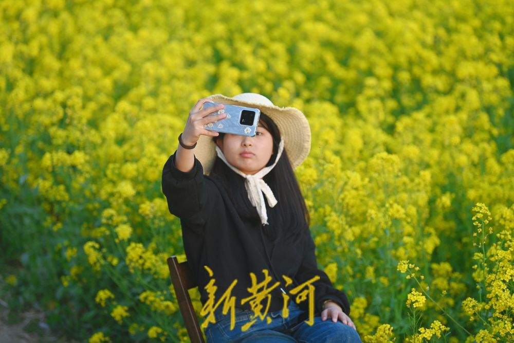 清明踏青赏花正当时 金色油菜花海引客来
