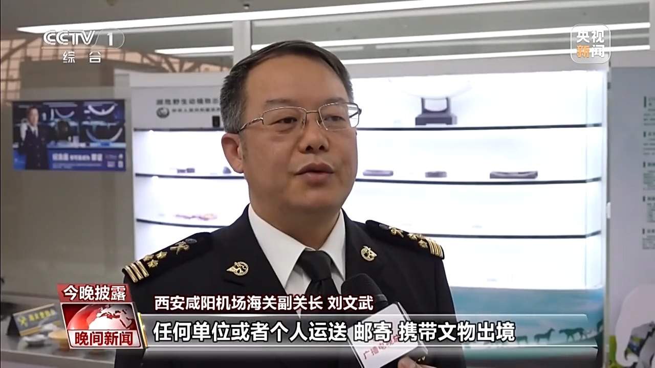 陕西西安海关查获违规携带494件文物出境案