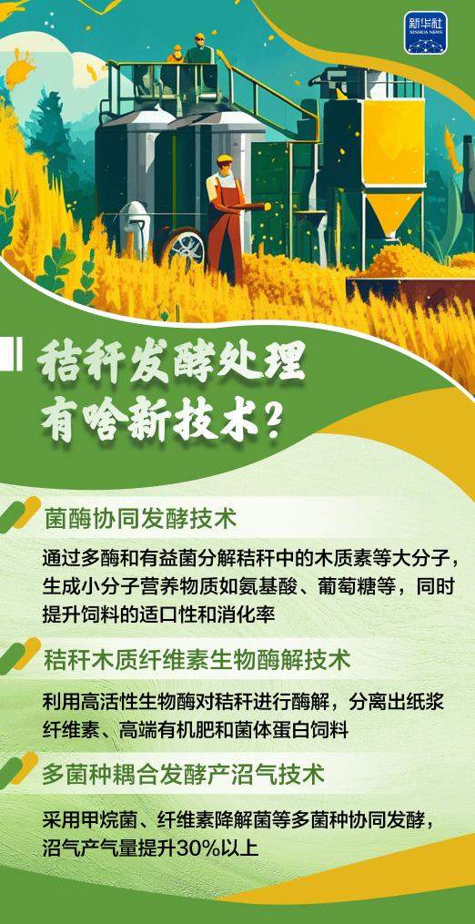 变饲料、转能源、种菌菇……秸秆原来这么“能”！