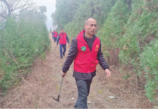 每天山路巡林十几公里，一年穿坏好几双鞋……他们是泉城绿的守护者