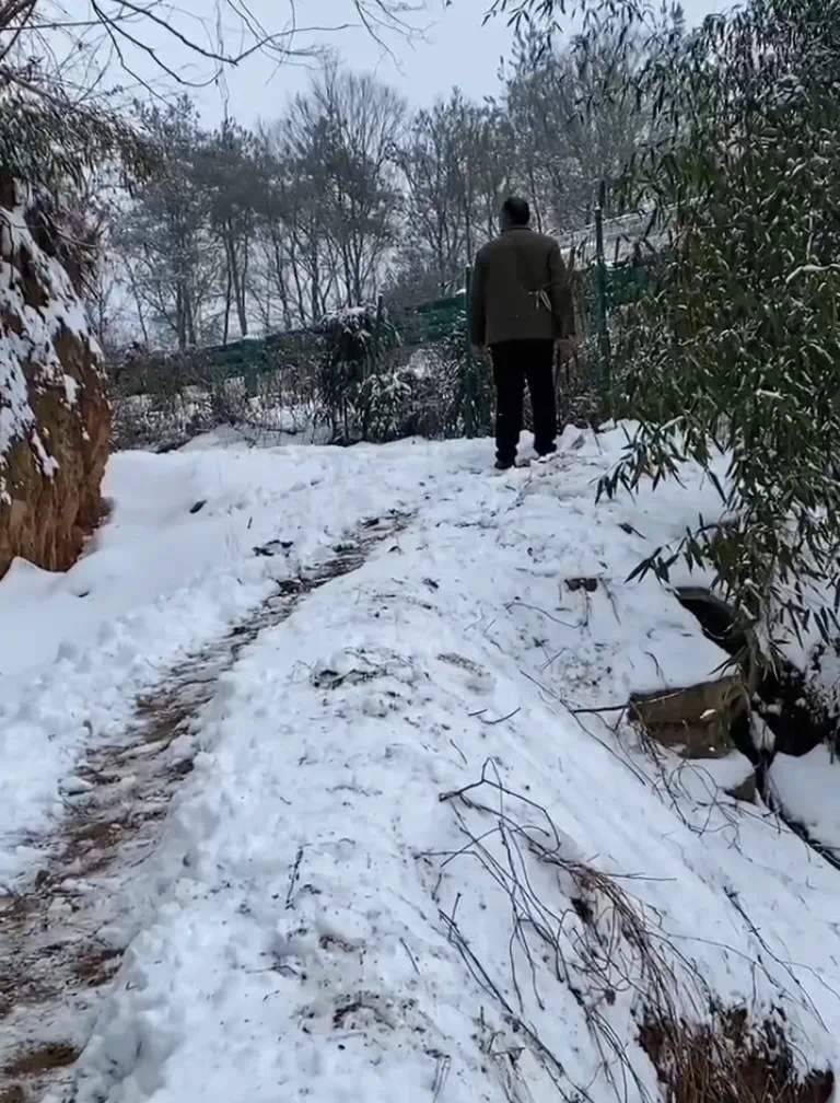 “一家9口，全部出动！”