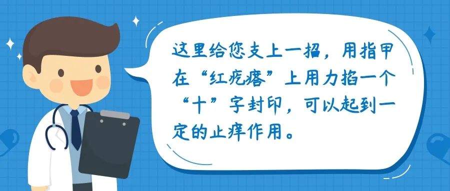 蚊叮虫咬后的“红疙瘩”这样处理好得快