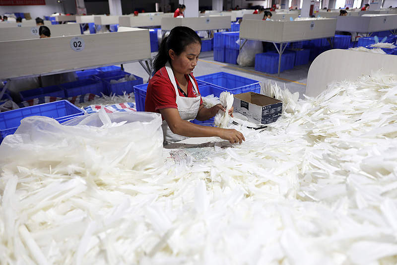 两年内价格翻倍 羽毛球的价格为何一涨再涨?