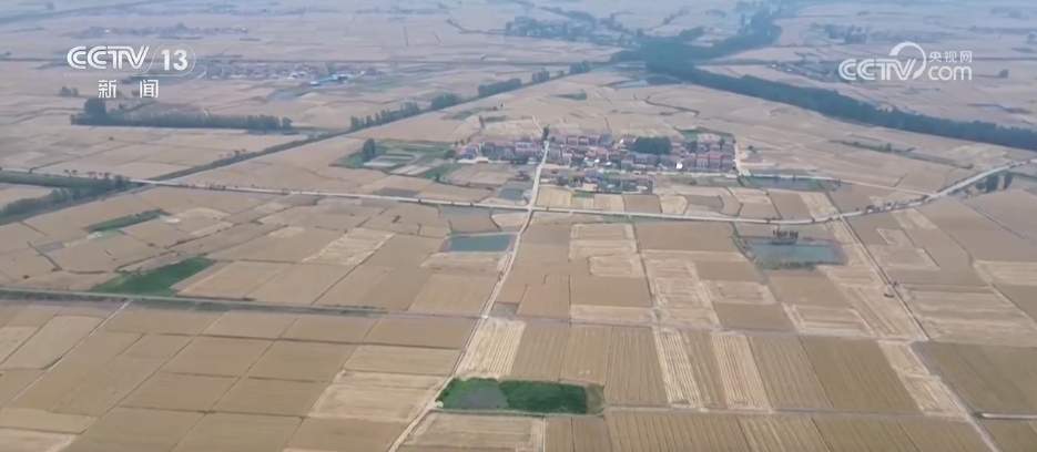 智能农机“唱主角” 希望的田野描绘好“丰”景