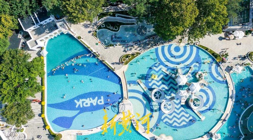 济南市区最大露天泳池开放，开启夏日清凉新体验