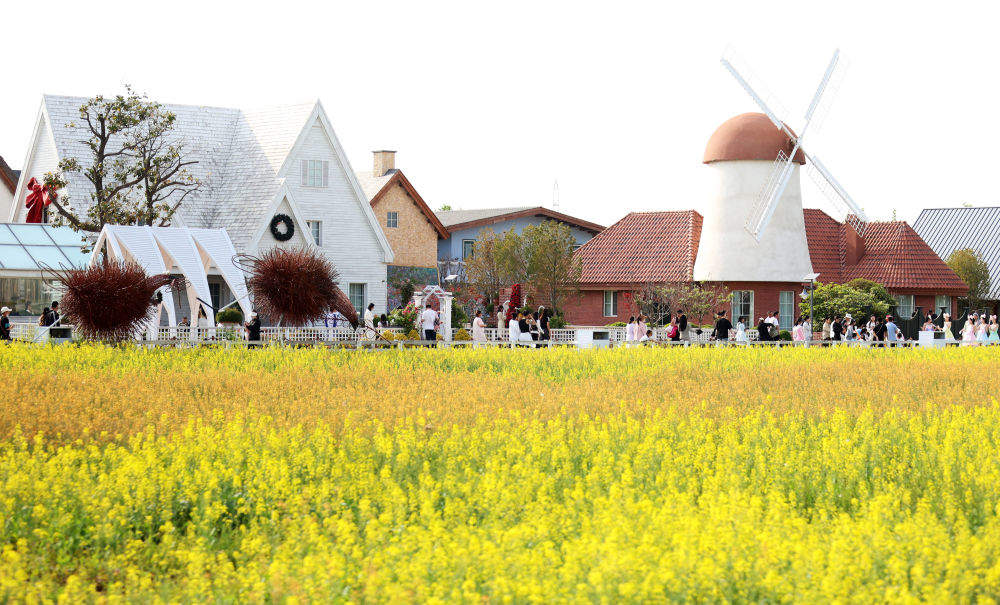 热力十足！人气旺、出游火、玩法多——2025“五一”假期盘点