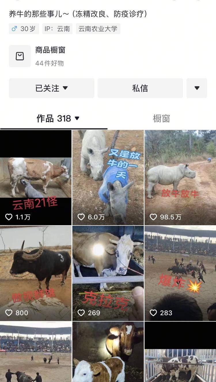 犀牛也能家养了？云南一男子“在线放犀牛”走红网络