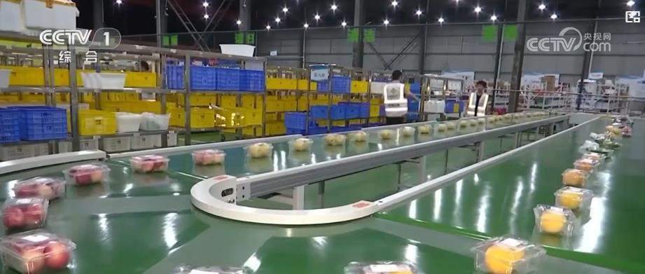 从物流到轻工 多领域经济数据展现中国产业协同增长新图景