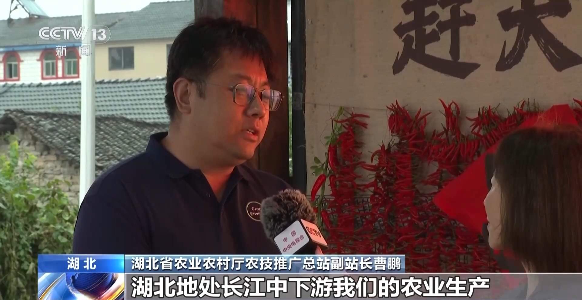 解码农业“育种芯片” 科技创新改变农业生产