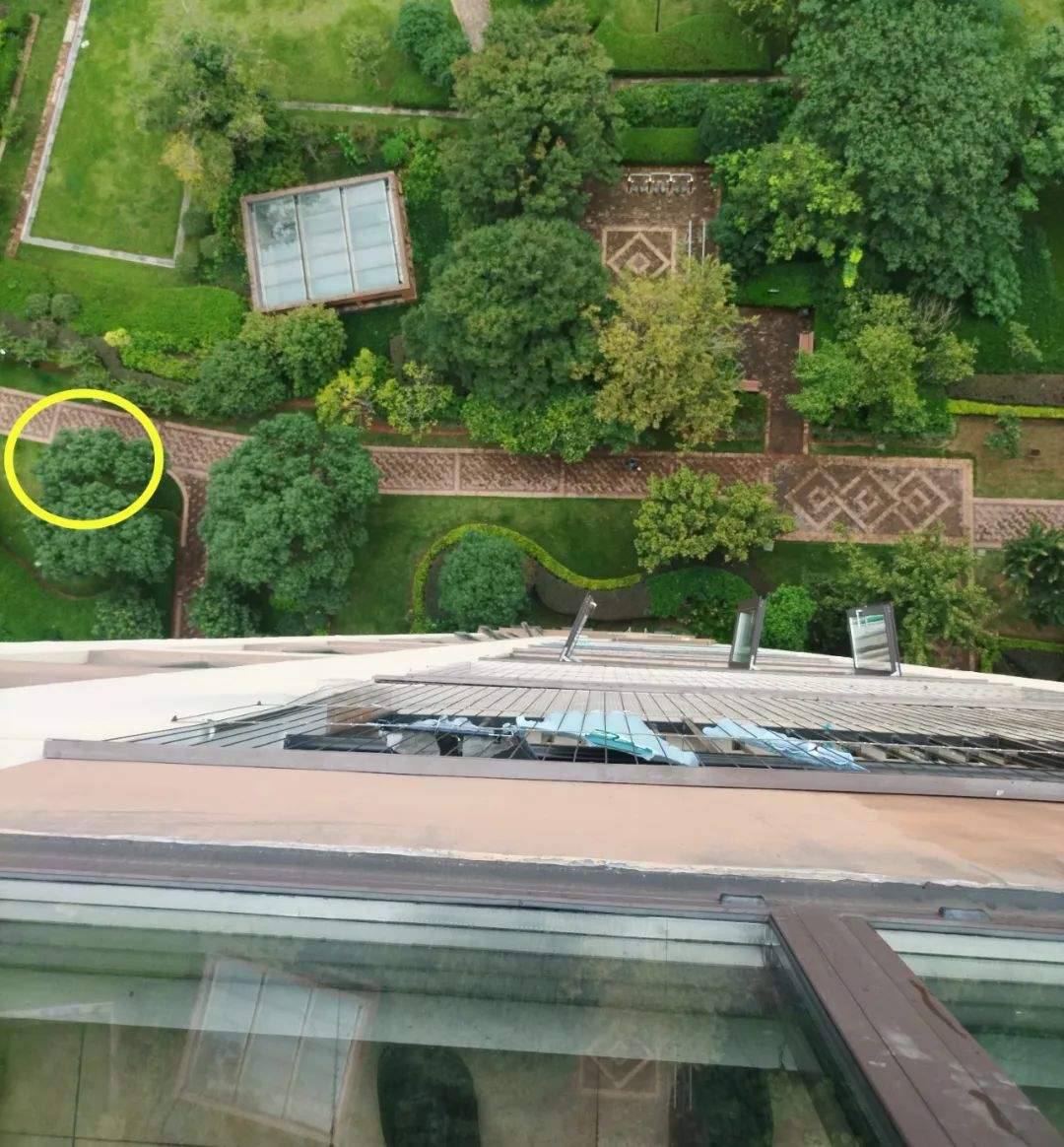 从18层扔下没喝完的奶茶，刑拘了！