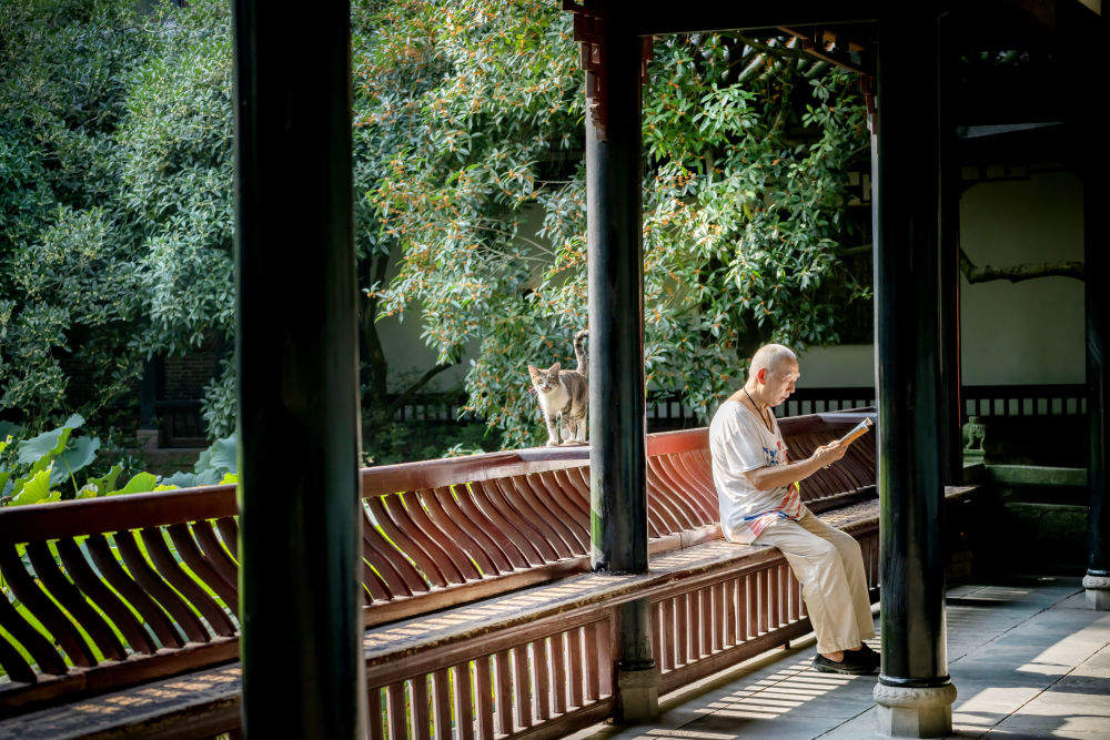 爱读书日常瞬间