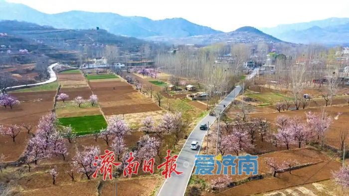 行在济南游在路上丨农路织春锦繁花赴万家 - 济南社会 - 舜网新闻